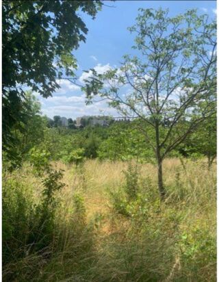  Terrain � louer 2500 m� Metz