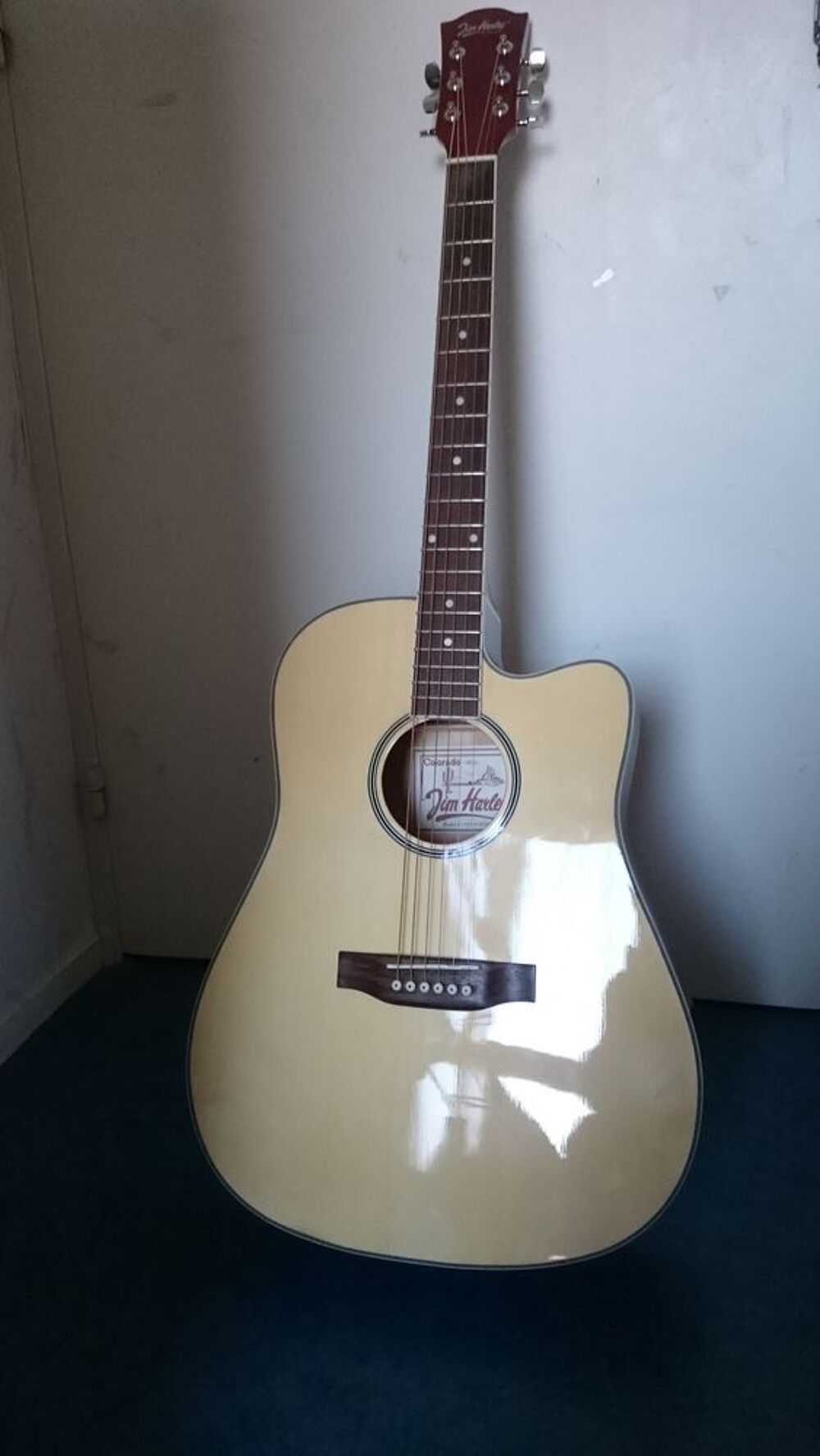 Guitare &eacute;lectro-acoustique, un son diff&eacute;rent ! Instruments de musique