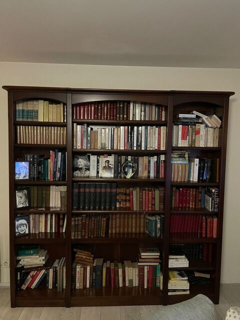 Biblioth�que Roche Bobois 400 Mainvilliers (28)