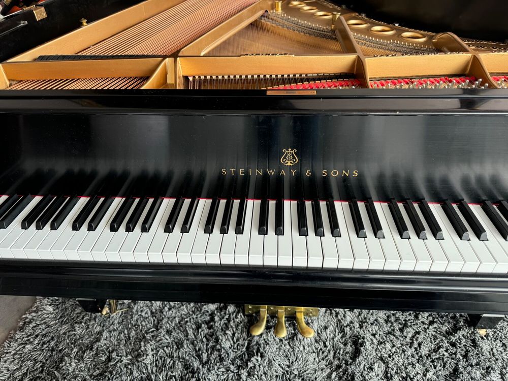 Piano Steinway &amp; Sons (Mod&egrave;le M) Instruments de musique