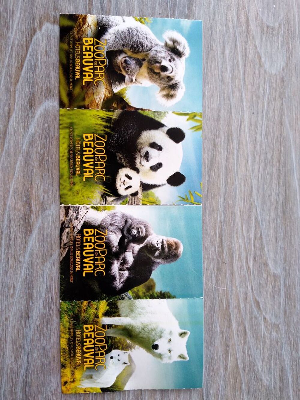 Zoo de Beauval Billetterie