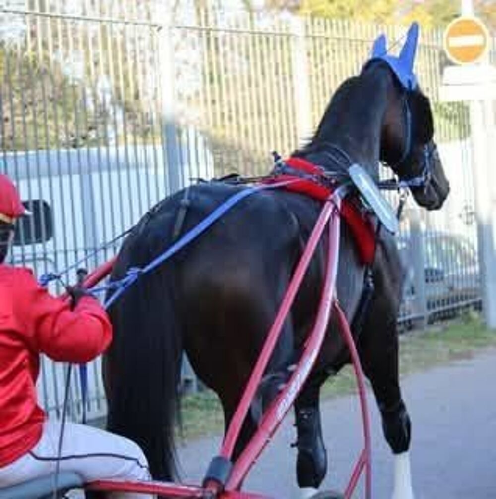   Lord de marcay  