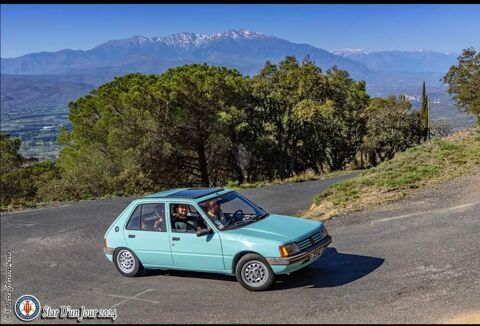 Peugeot 205 1.6 Open