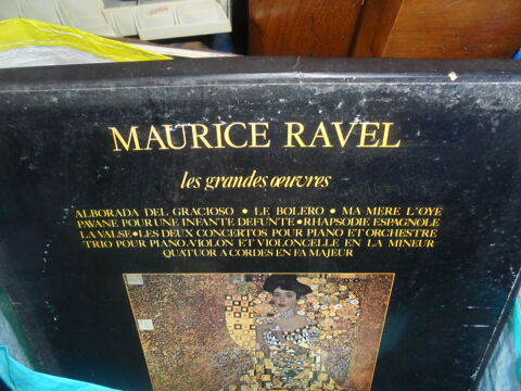 Disques vinyles 33T et maxi 45T 4 Templeuve (59)