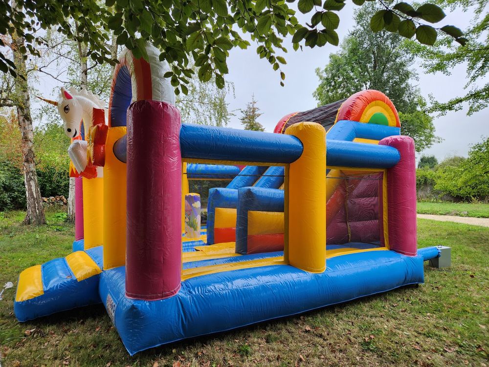 Ch&acirc;teau gonflable licorne professionnel avec toboggan - JB I Jeux / jouets