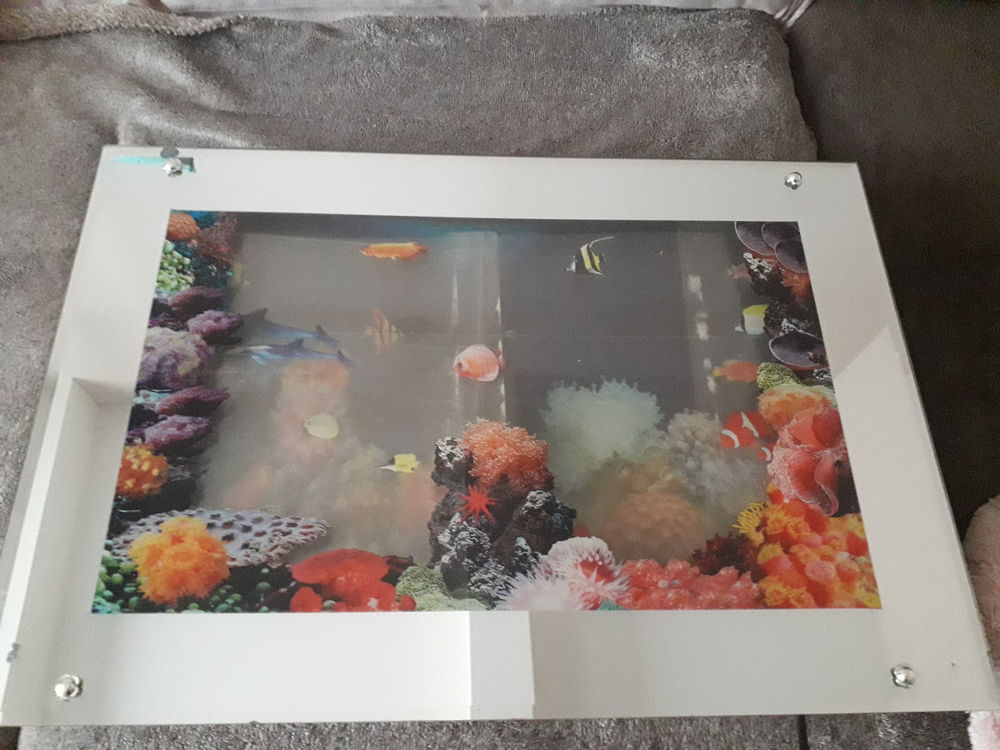 Cadre lumineux aquarium marin, Décoration