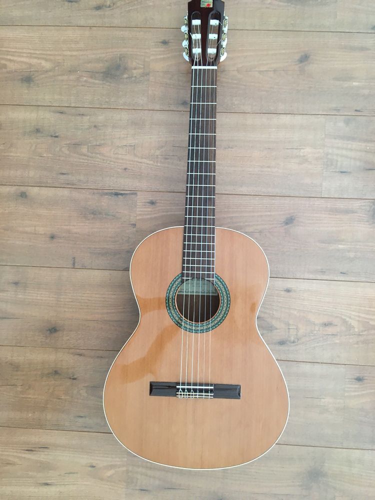 Achetez Guitare Classique Occasion, Annonce Vente à Dijon (21) WB171725557