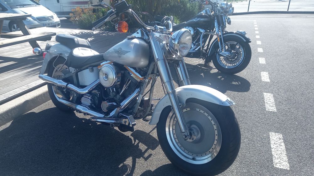 HARLEY-DAVIDSON 1990 occasion 56250 Saint-Nolff