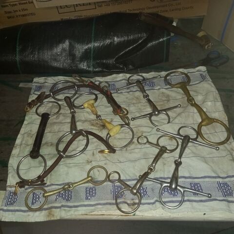 Lots d'embouchures pour chevaux 50 Niderhoff (57)