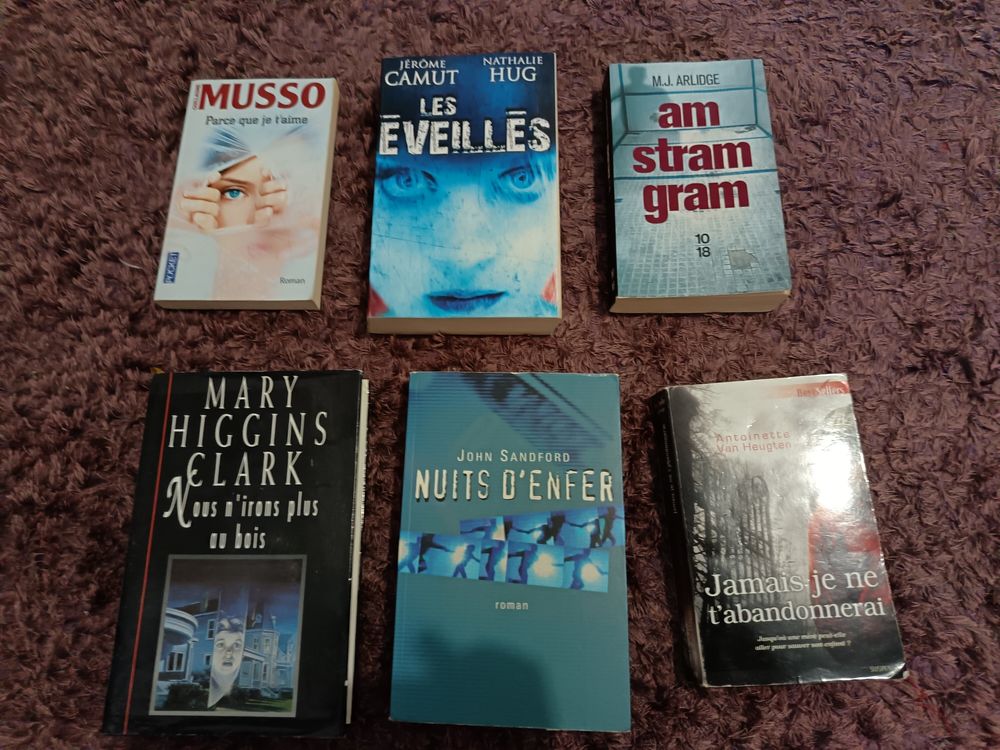 Livres romans thriller &agrave; 2 € l unit&eacute; Livres et BD