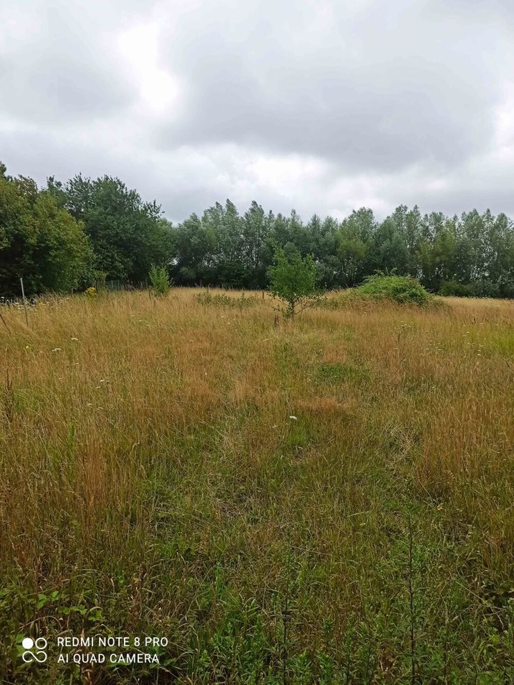 Vente Terrain TERRAINS CONSTRUCTIBLES SORRUS Seninghem