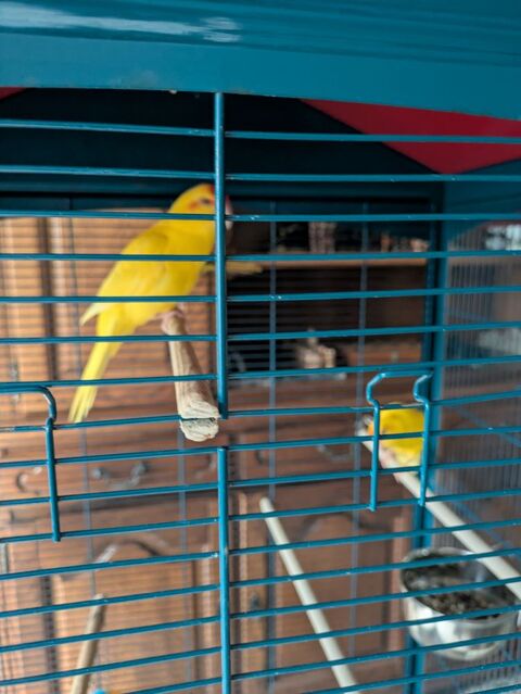 kakarikis 25 51130 Clamanges