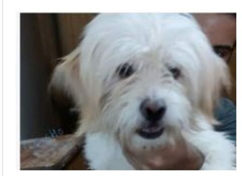 PCASSO MALE 2 ANS A SAUVER D'ÉGYPTE 0 75018 Paris
