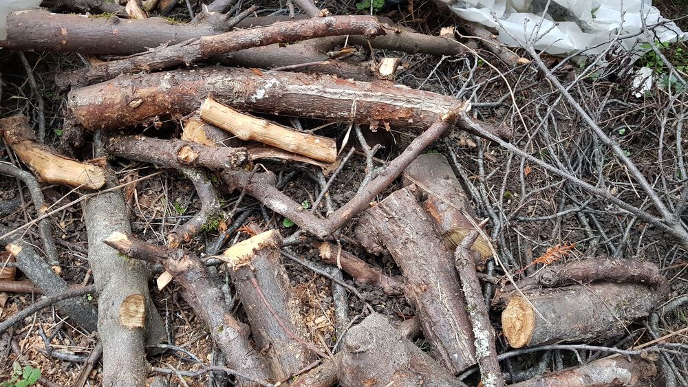 Bois diff&eacute;rentes tailles et grosseurs Bricolage