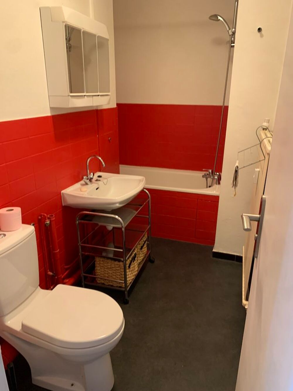 Location Appartement STUDIO meublé 159 avenue de strasbourg NANCY Nancy