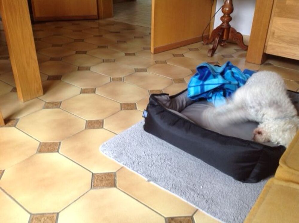 cherche Carrelage Bricolage