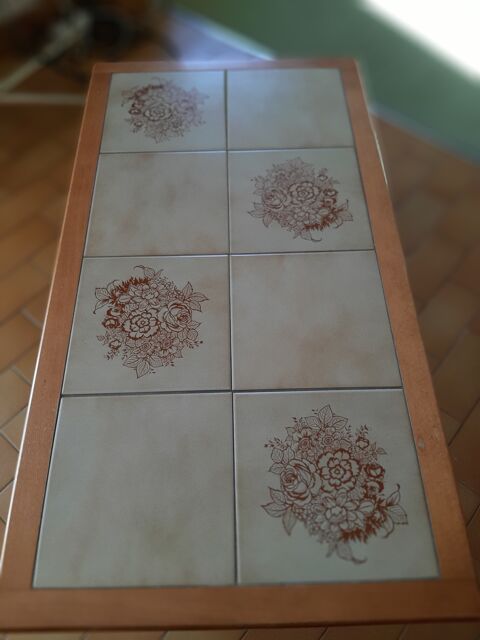 TABLE Basse de salon 25 Mont-de-Marsan (40)