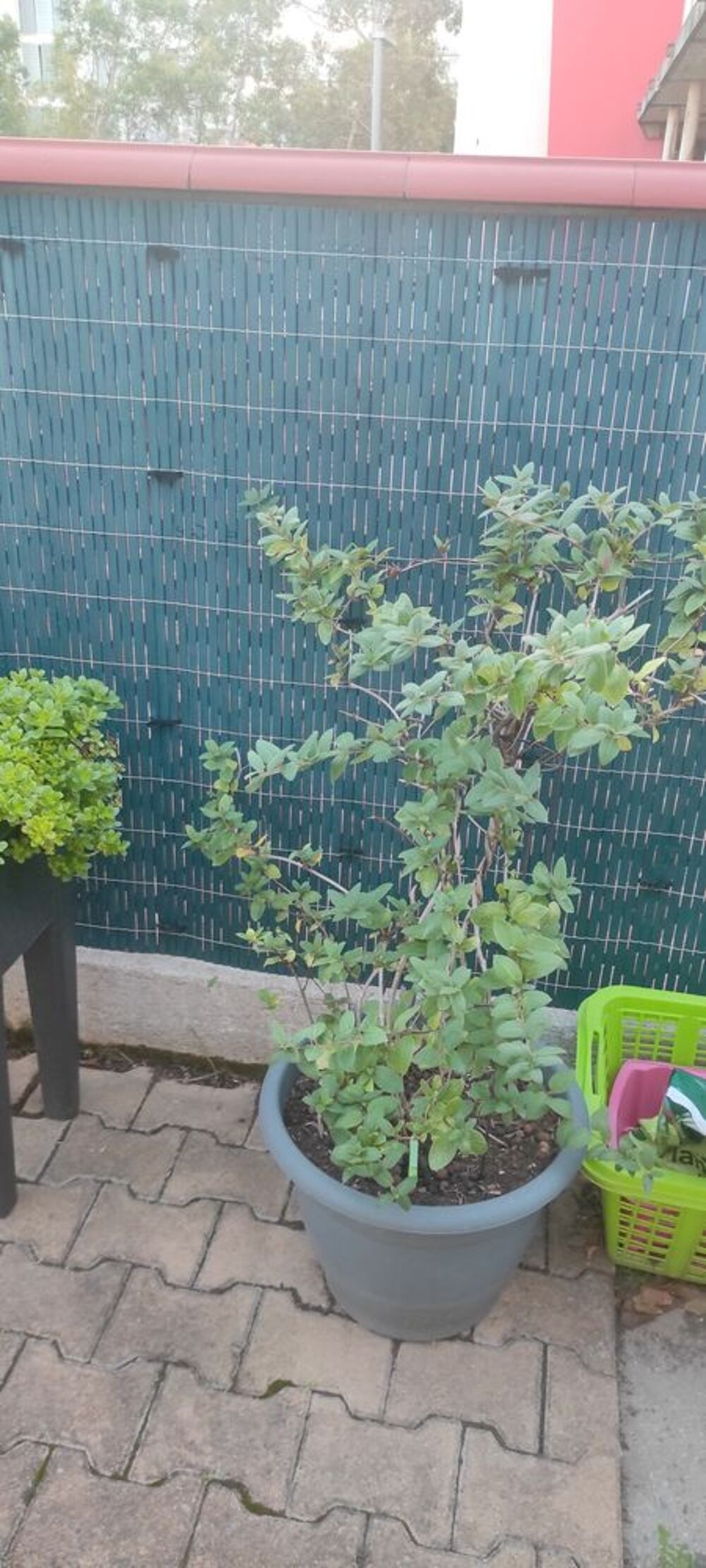 plantes int&eacute;rieures et ext&eacute;rieures + aquarium Jardin