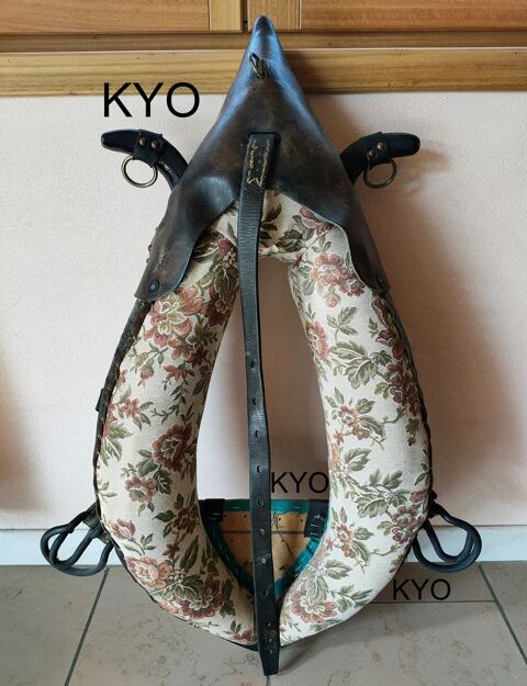 Collier de cheval, Tour de cou - D�coration - Bon �tat 14 Foncine-le-Haut (39)