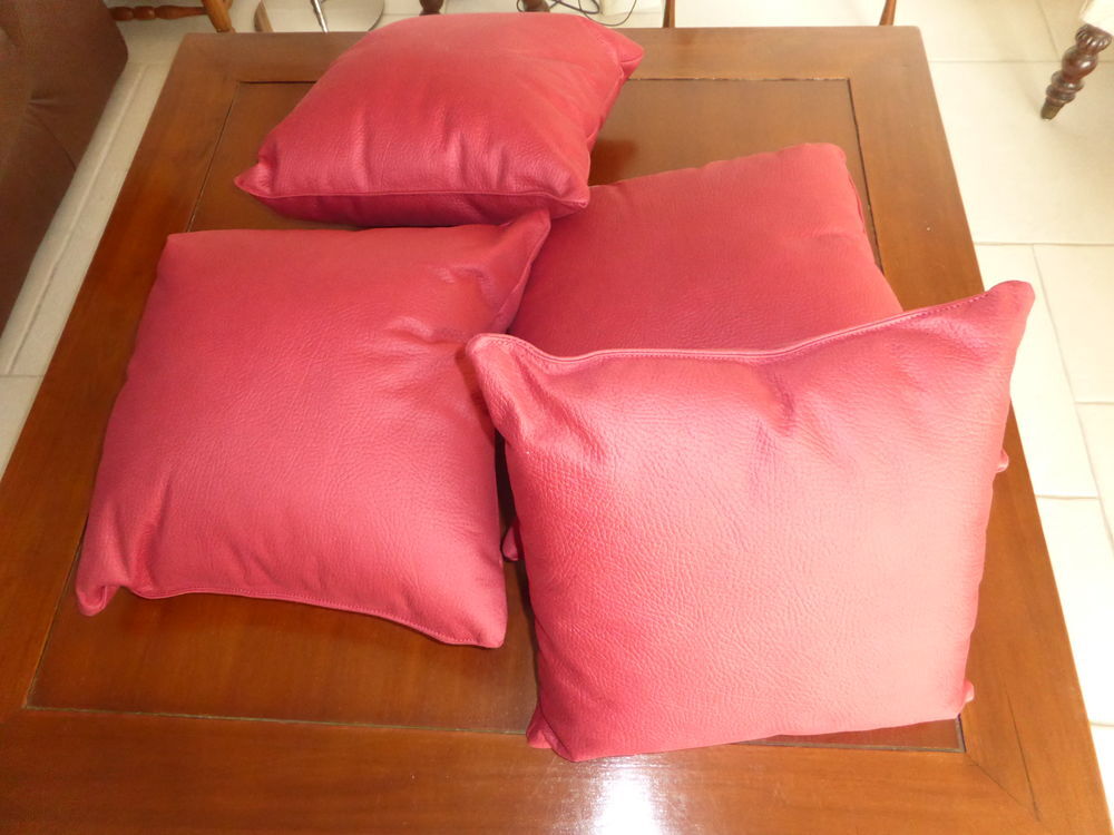 coussin Dcoration