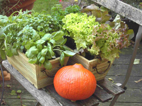  Terrain � louer 100 m� Clermont-ferrand