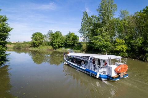 Bateaux à moteur Bateau fluvial 2001 occasion Tournus 71700