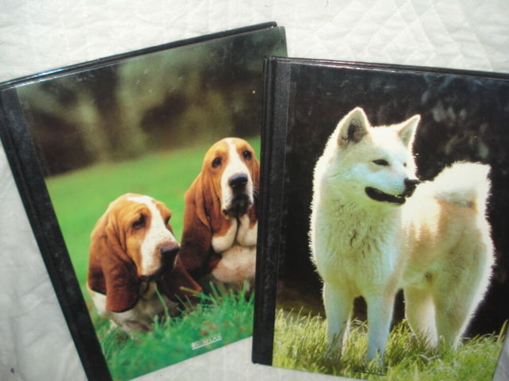livres sur les chiens Livres et BD