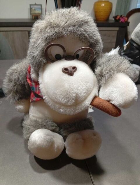 Singe gris 8 Courdimanche-sur-Essonne (91)