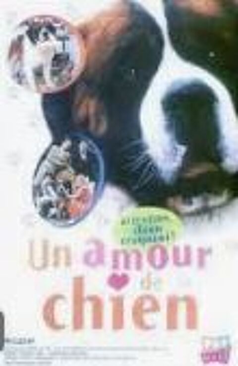 FELIX UN AMOUR DE CHIEN 0 Rosendael (59)