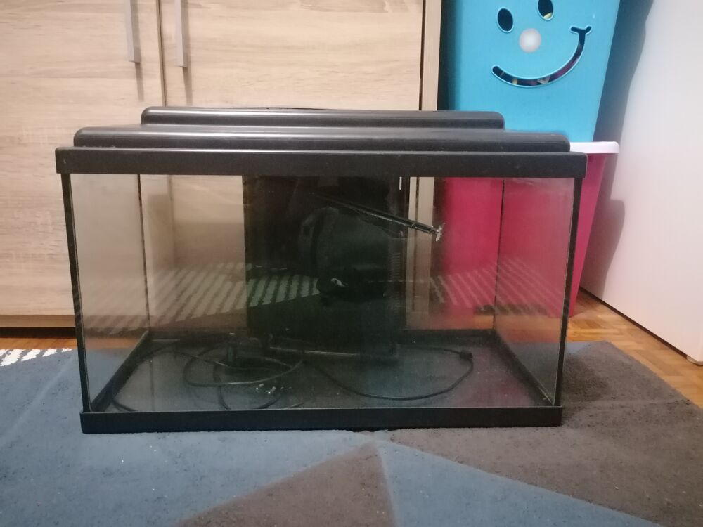 Aquarium de 60L avec son filtre Décoration