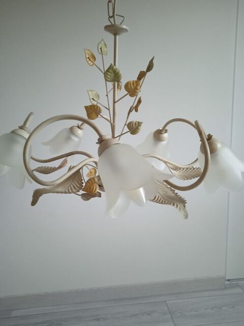 lustre 5 branches 15 Andrzieux-Bouthon (42)