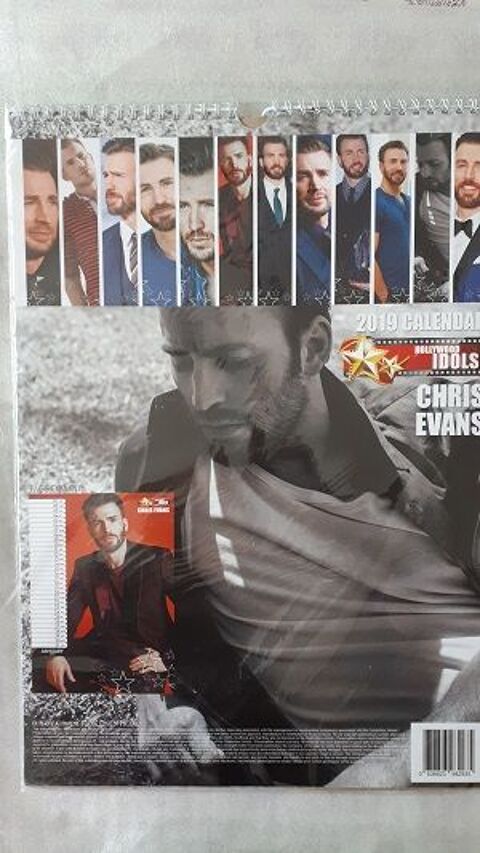 calendrier mural artiste 5 Fleurance (32)