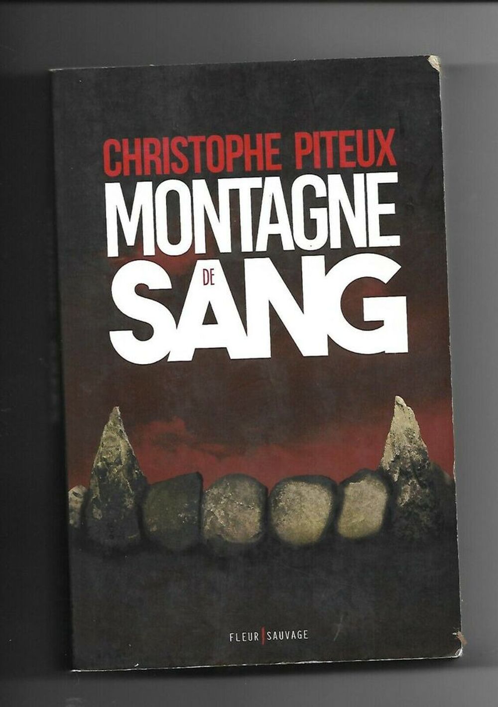 Montagne de sang - Christophe piteux, suspense Livres et BD