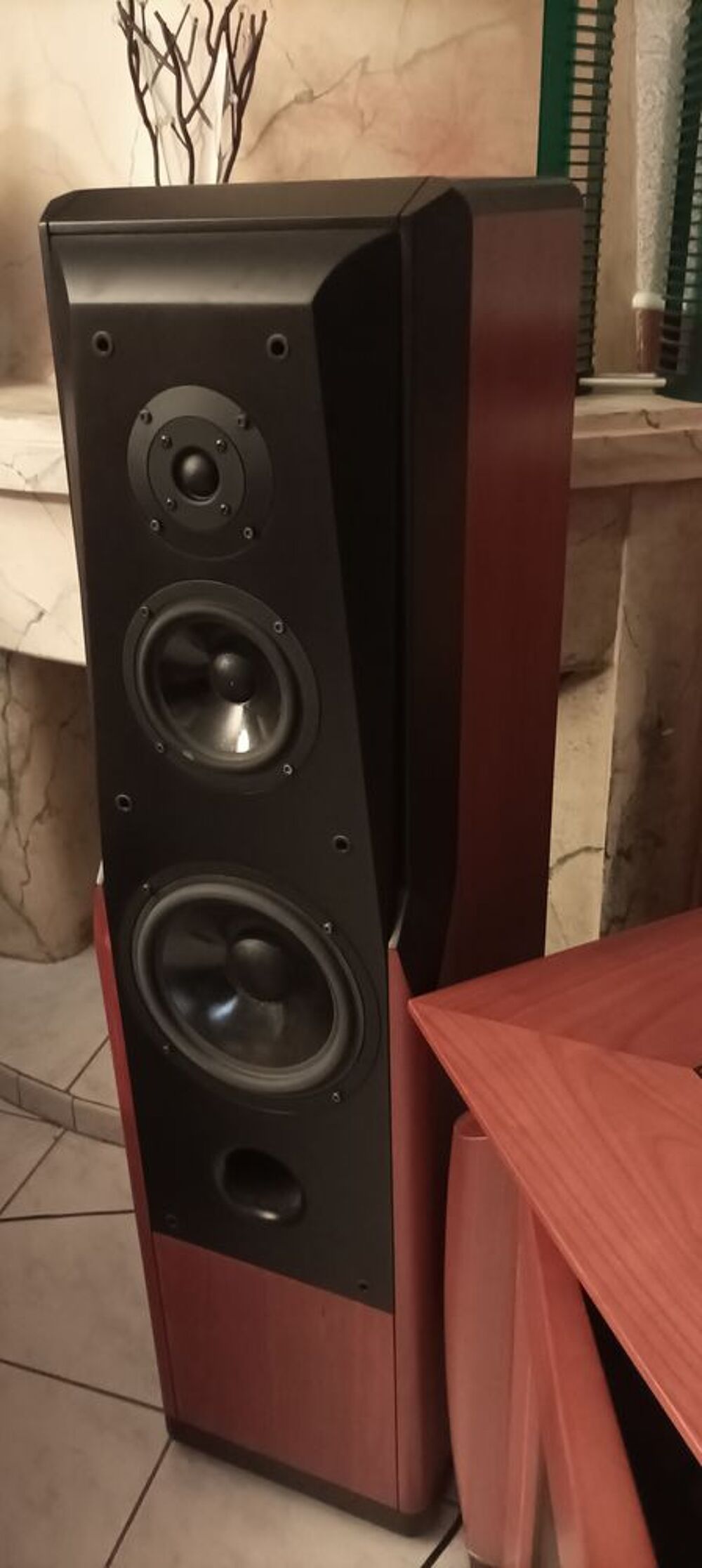Enceinte Advance Acoustic UM100 Audio et hifi