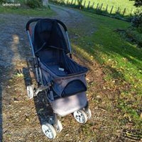   poussette pour chien 