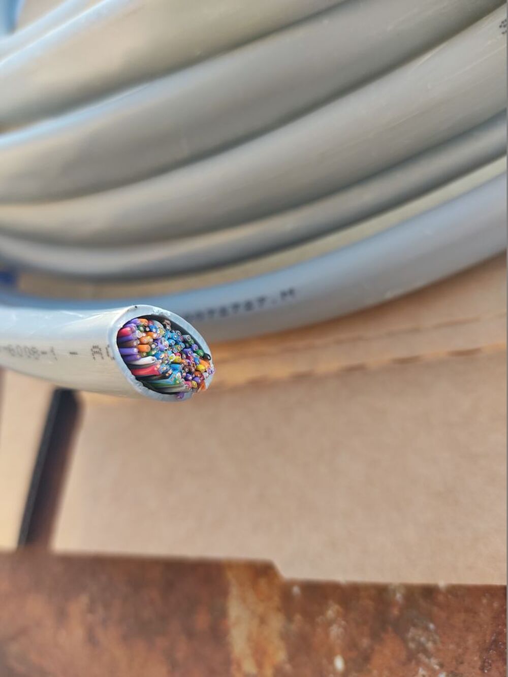 Cable cuivre multipaire 56 paires 9m Bricolage