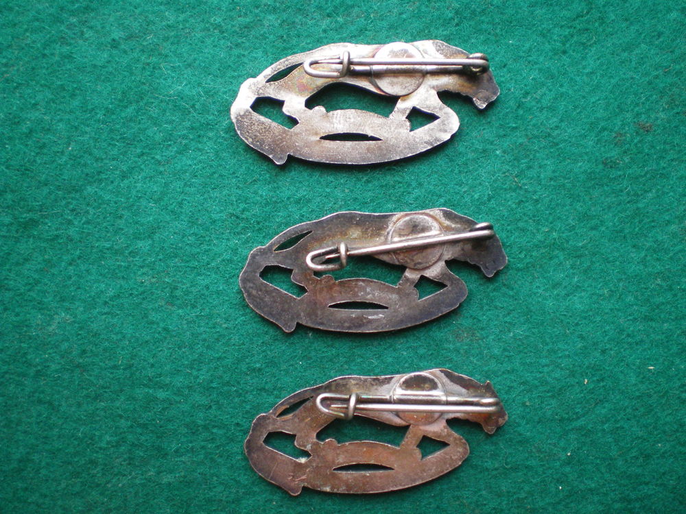 Insignes d'infanterie 119&deg; RI 