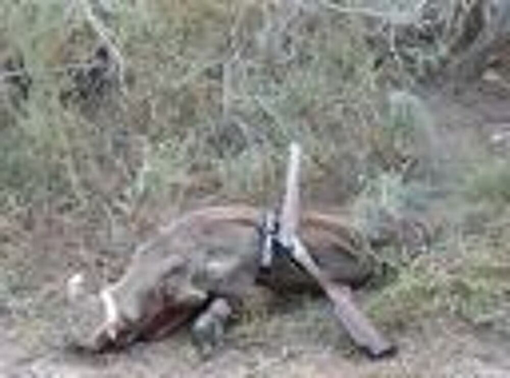 Vente Maison Camp de chasse au Sénégal Toubakouta, sénégal (Senegal)