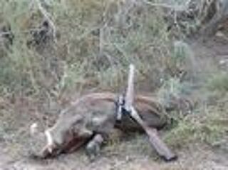  Maison � vendre 13 pi�ces 450 m� Toubakouta, s�n�gal