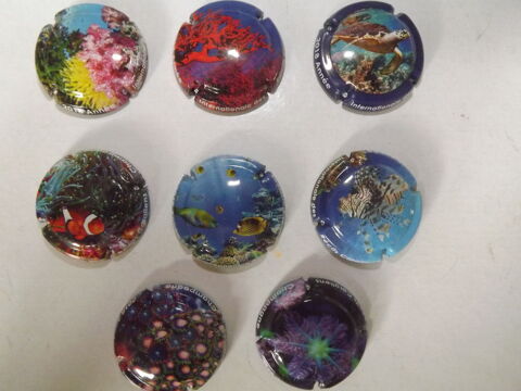 capsules de champagne 4 Bessay (85)