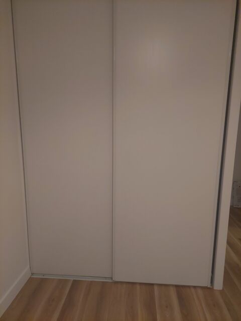 Placard deux portes L totale 170 cm 50 Pessac (33)