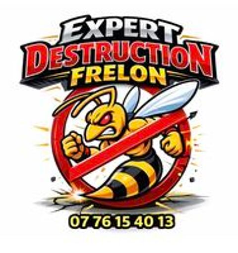   Expert destruction frelon  