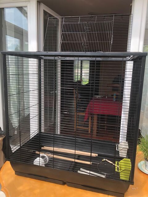 Cage oiseaux quasi neuve servie 1 mois 70 77131 Touquin