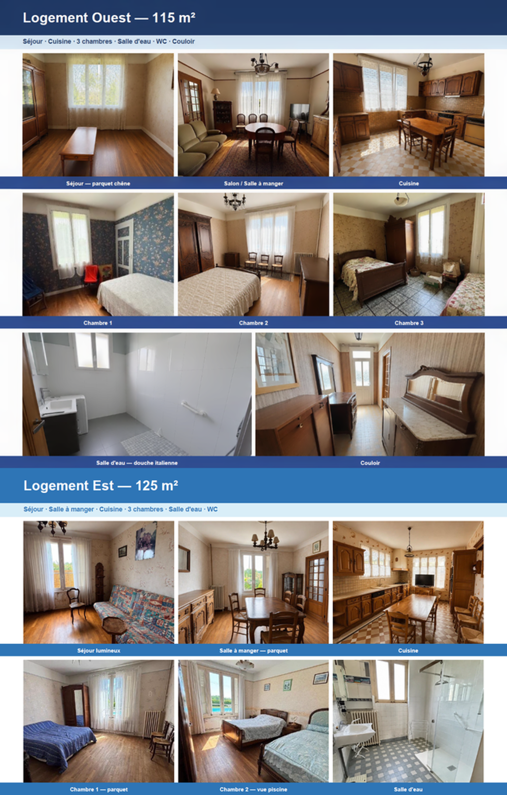 Vente Maison Bien rare : longère - 2 habitations + dépendances + piscine Chouzé-sur-loire
