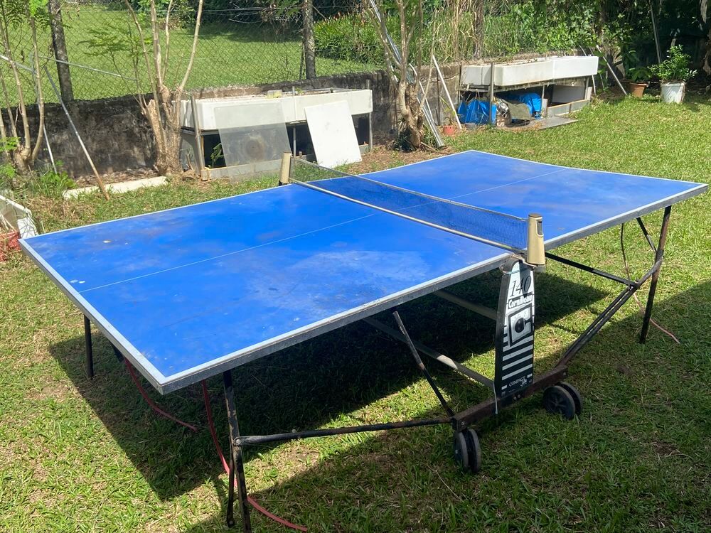 Table de ping pong Jeux / jouets