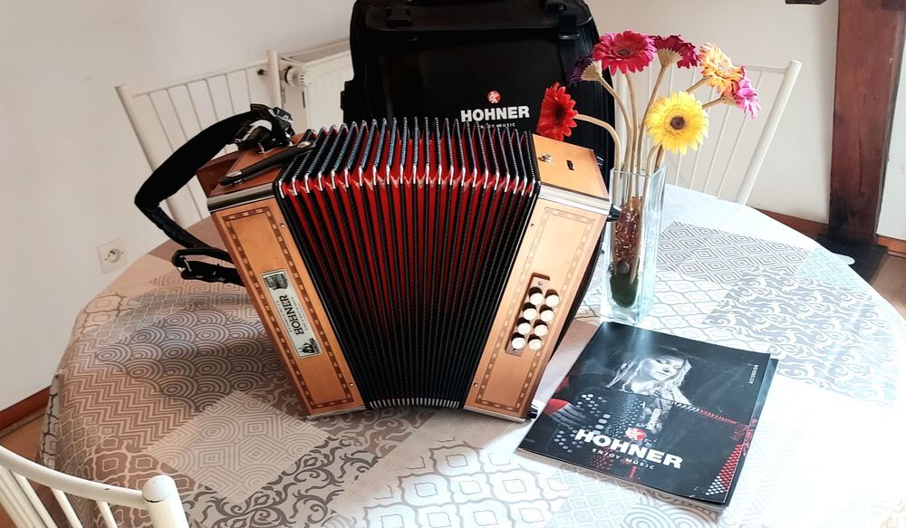 Accord&eacute;on diatonique Hohner Morgan II &Eacute;TAT NEUF G-C Instruments de musique