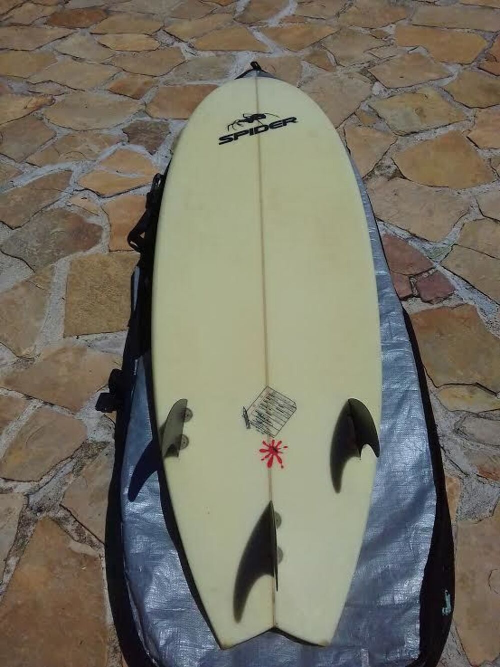 FISH SPIDER 6'2 Sports