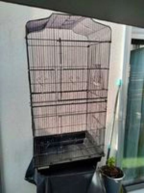   Cage 