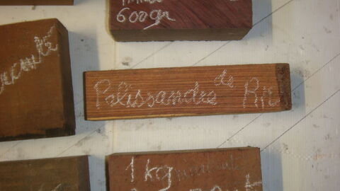 Bois prcieux 6 Saint-Mdard-en-Jalles (33)