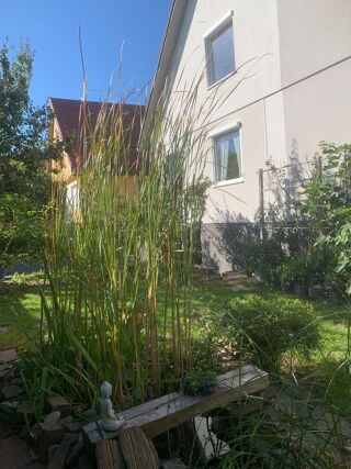  Maison � vendre 6 pi�ces 139 m� Muntzenheim